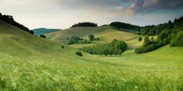 Kontrast-Umfrage zur Klimakrise: Solarenergie und gratis Öffis