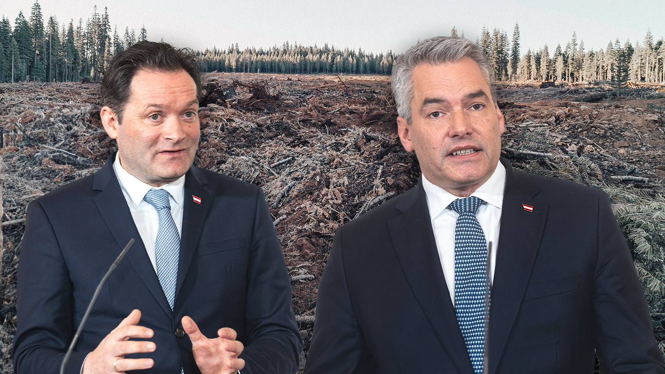 Profit vor Natur: ÖVP will EU-Verordnung zum Schutz von Wäldern verhindern