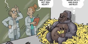 Wenn Affen lesen lernen...