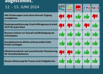 Nationalratssitzung, Parlament, Abstimmung Juni 2024