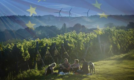Alles zu EU-Steuern, Förderungen, Mitgliedsbeitrag & Österreich