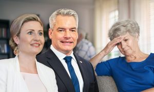 großelternkarenz övp spö