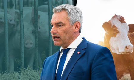 ÖVP gegen Tiere: Für umweltschädliche Tierfabriken, Vollspaltenböden und Tiertransporte