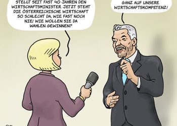 Die Wirtschaftskompetenz der ÖVP