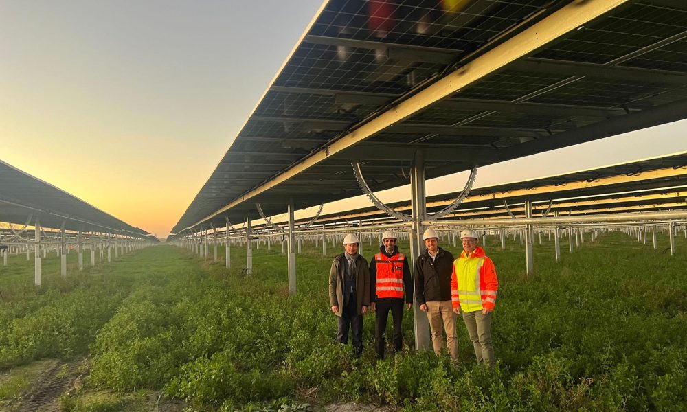 Agri-PV-Wind Projekt im Burgenland - Foto Energie Burgenland