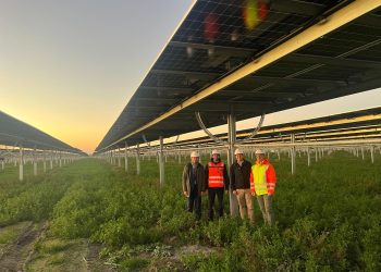 Agri-PV-Wind Projekt im Burgenland - Foto Energie Burgenland