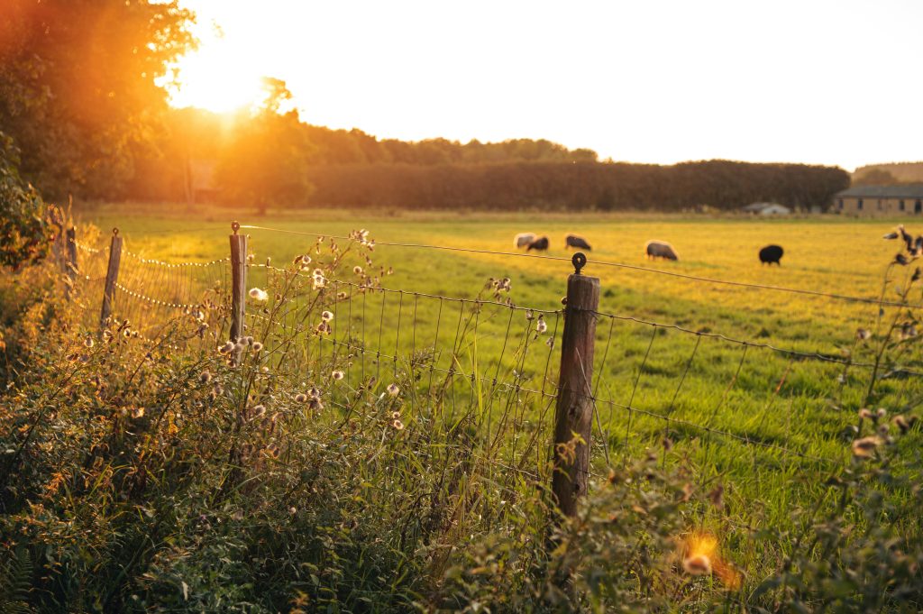 Renaturierung in Dänemark