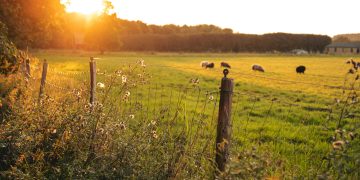 Renaturierung in Dänemark