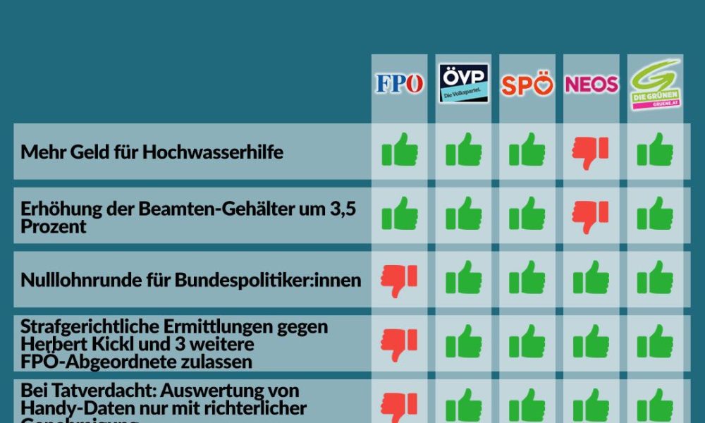 Abstimmungsgrafik 11. Dezember 2024, Abstimmungen Nationalrat, Parlament