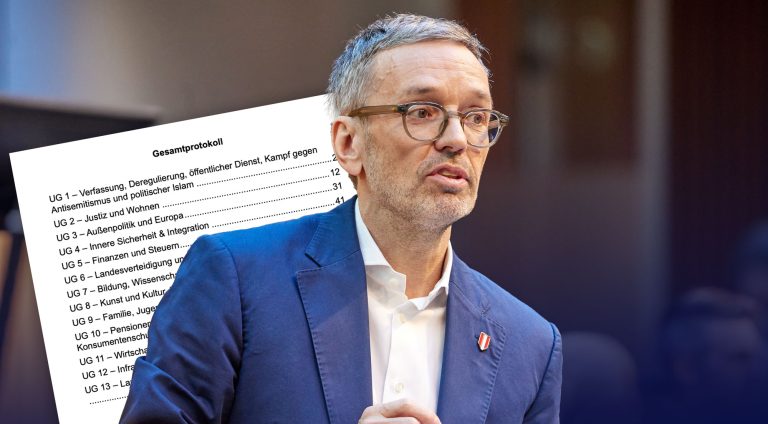 Herbert Kickl, FPÖ