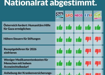 Nationalratssitzung vom 22. Mai – So haben die Parteien abgestimmt!