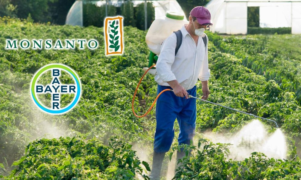 Monsanto, bzw. Bayer AG vermarkten Pflanzengift und Gentechnik (Unsplash+ / Bayer / Monsanto)
