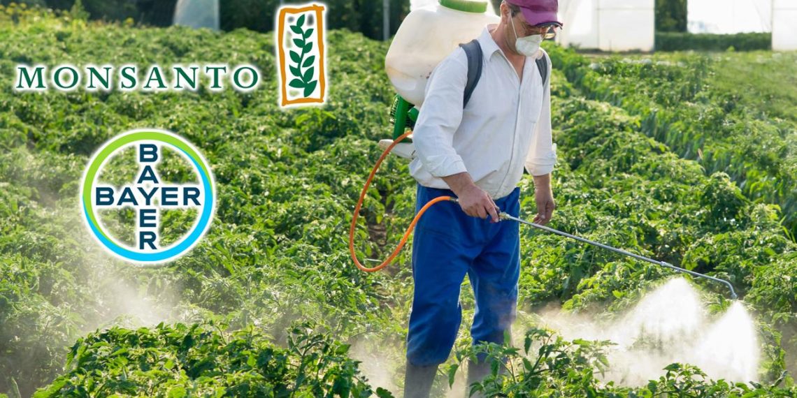 Monsanto, bzw. Bayer AG vermarkten Pflanzengift und Gentechnik (Unsplash+ / Bayer / Monsanto)