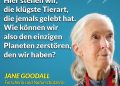 Jane Goodall war eine britische Verhaltensforscherin, deren Arbeiten zu Schimpansen unsere Sicht auf unsere nächsten Verwandten revolutioniert hat. Erst dank ihrer Forschung wissen wir, wie ähnlich uns Schimpansen und andere Primaten sind. Goodall hat es sich zu ihrer Lebensaufgabe gemacht, gegen Umweltzerstörung zu kämpfen und den Lebensraum von Schimpansen und anderen Tieren zu schützen. Besonders wichtig war ihr dabei der Kampf gegen den Klimawandel. Zitat: Hier stehen wir, die klügste Tierart, die jemals gelebt hat. Wie können wir also den einzigen Planeten zerstören, den wir haben? Jane Goodall
