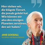 Zitat: Hier stehen wir, die klügste Tierart, die jemals gelebt hat. Wie können wir also den einzigen Planeten zerstören, den wir haben? Jane Goodall