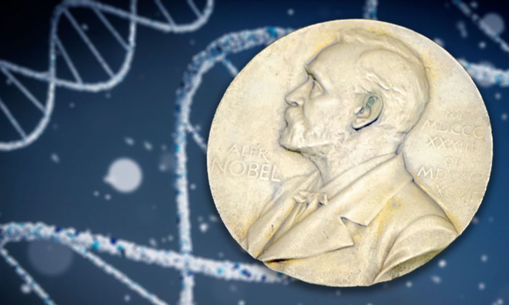 Nobelpreis 2025 (Foto: Pixabay / Unsplash)