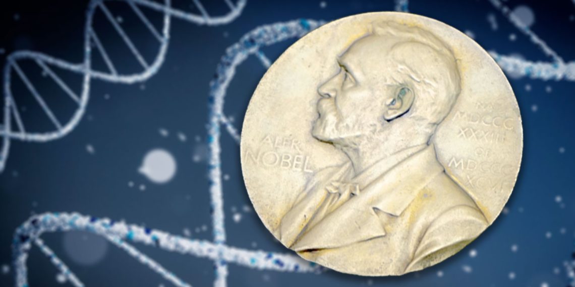 Nobelpreis 2025 (Foto: Pixabay / Unsplash)