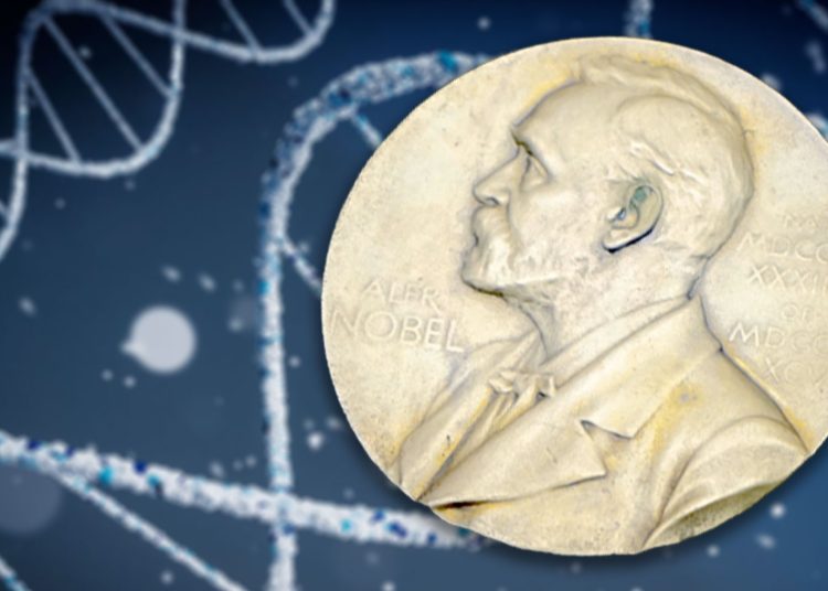Nobelpreis 2025 (Foto: Pixabay / Unsplash)