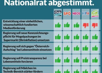 Abstimmungsgrafik November 2025, Nationalrat