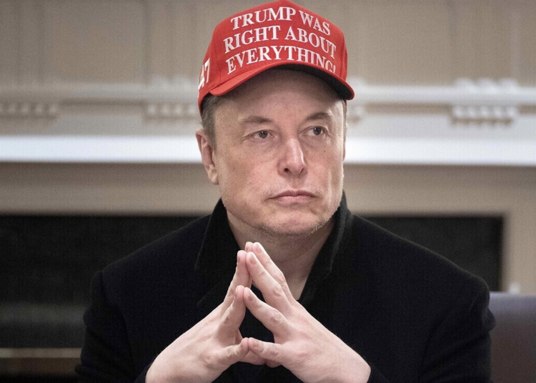 Elon Musk (Foto: BRENDAN SMIALOWSKI / AFP / picturedesk.com)