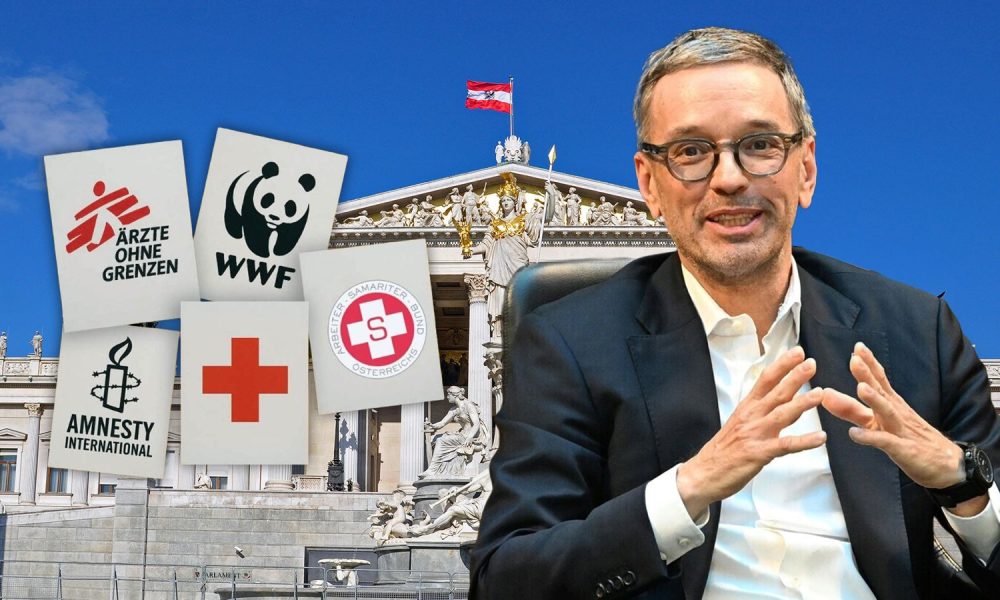 FPÖ macht Stimmung gegen NGOs (Foto: Parlamentsdirektion/eigene Montage)