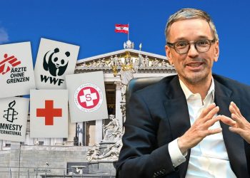 FPÖ macht Stimmung gegen NGOs (Foto: Parlamentsdirektion/eigene Montage)