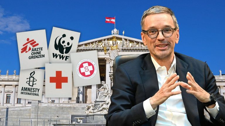 FPÖ macht Stimmung gegen NGOs (Foto: Parlamentsdirektion/eigene Montage)