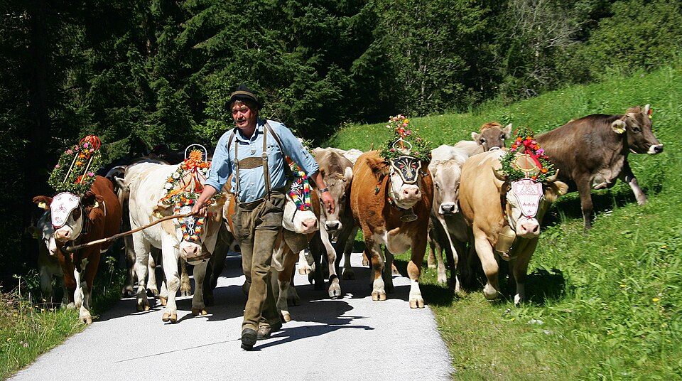 Almabtrieb nach Bad Kleinkirchheim (Foto: Wikimedia Commons / CC BY 2.0)