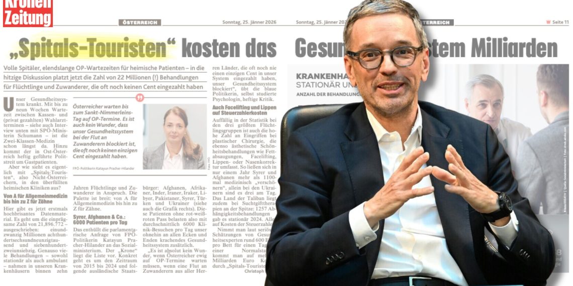 Krone Artikel über "Spital Touristen" und Herbert Kickl von der FPÖ. (Foto: Screenshot Kronen Zeitung; Helmut Fohringer/APA/Picturedesk - eigene Montage)