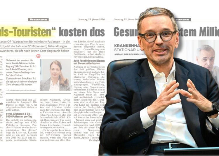 Krone Artikel über "Spital Touristen" und Herbert Kickl von der FPÖ. (Foto: Screenshot Kronen Zeitung; Helmut Fohringer/APA/Picturedesk - eigene Montage)