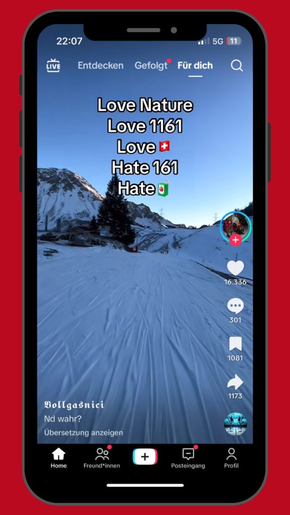 Screenshot: rechtsextreme Codes TikTok