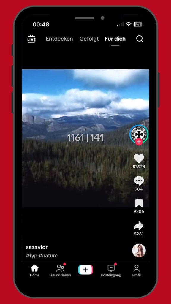 Screenshot: rechtsextreme Codes TikTok
