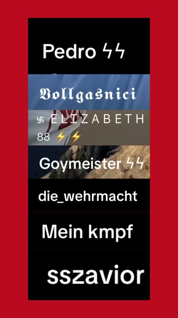 Screenshot: rechtsextreme Usernamen TikTok