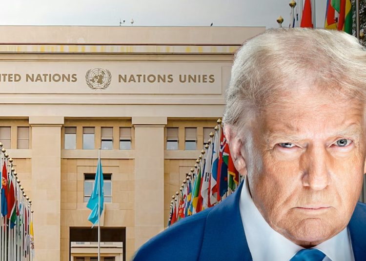 UNO, Donald Trump (Foto: Unsplash & White House)