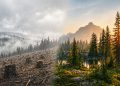 Quelle: unsplash