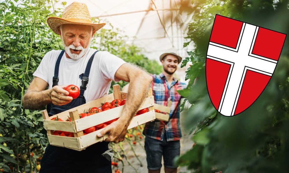 Gemüsehauptstadt Wien: Die österreichische Metropole betreibt mehr Landwirtschaft als man denkt