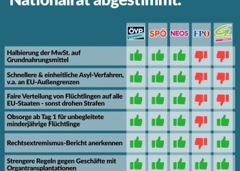 Nationalratssitzung vom 20. bis 21. Mai – So haben die Parteien abgestimmt!