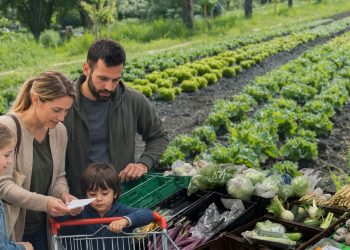 Samariterbund Wien baut Gemüse am Rosenhügel an