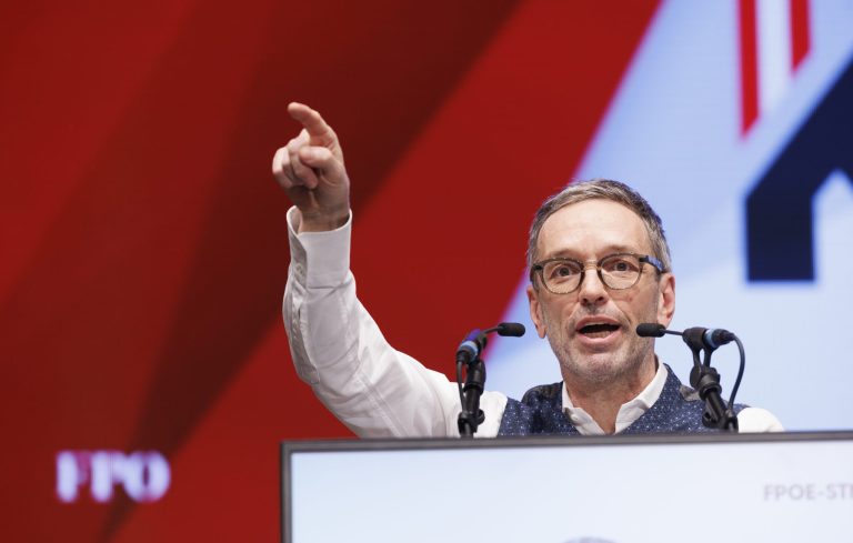 Herbert Kickl 2024 in Hartber (APA Pictures/Erwin Scheriau)