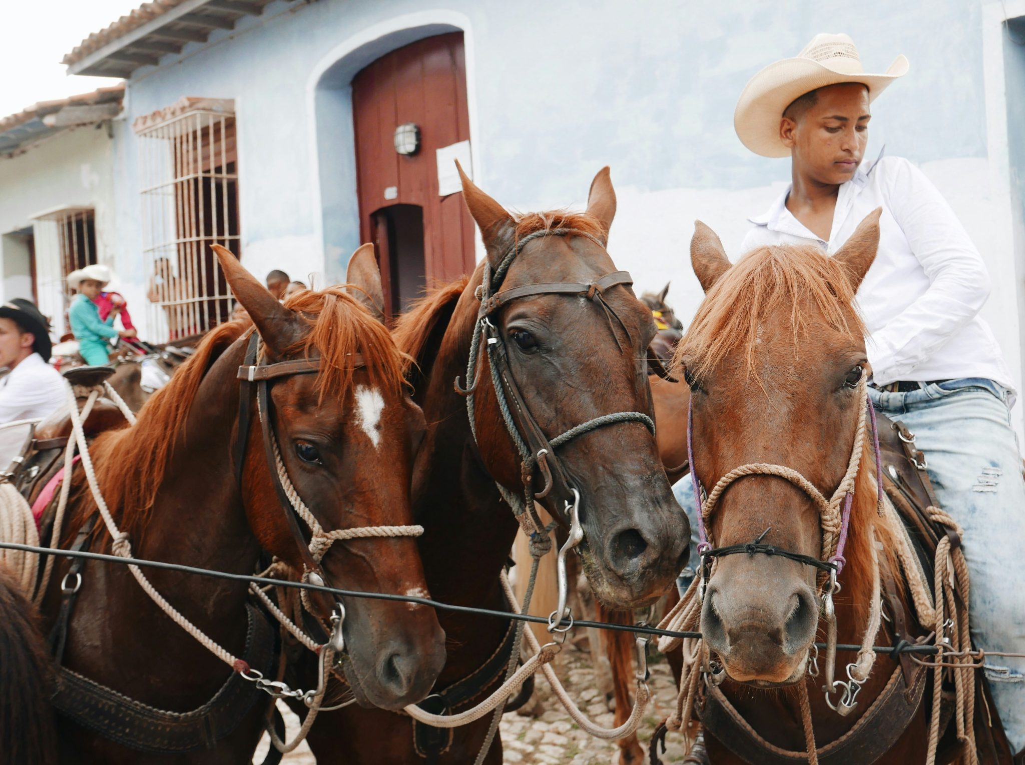 Vinales in Kuba. Pferde ersetzen Traktoren und LKWFoto: Falco Negenman auf unsplash