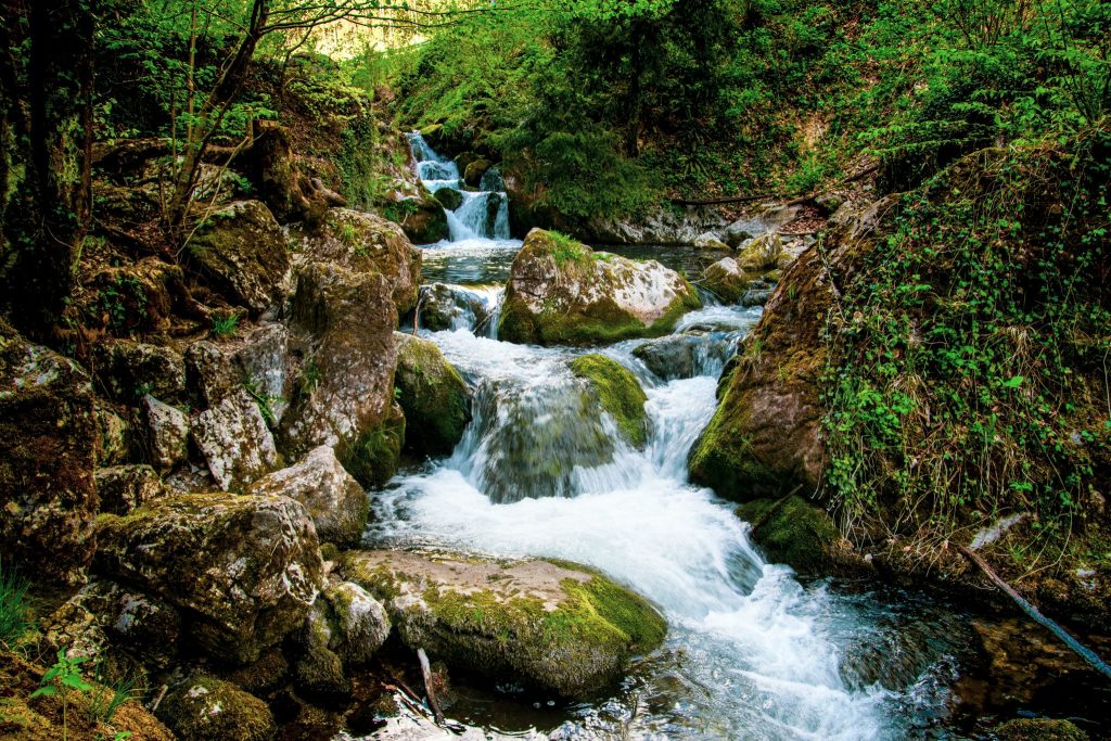 Wasser, Dürre, Wasserknappheit, Fluss, Österreich, Muggendorf, Niederösterreich, Unsplash