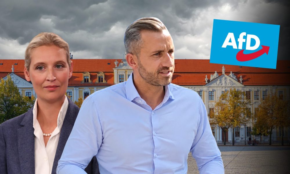 Sachsen-Anhalt, AfD