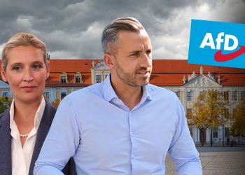 Sachsen-Anhalt, AfD