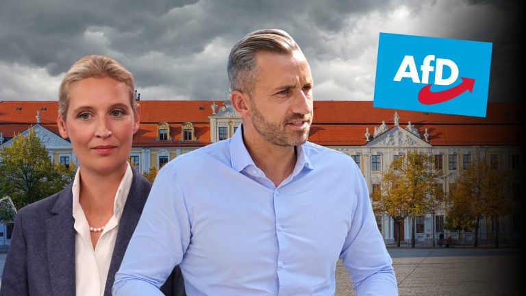 Sachsen-Anhalt, AfD