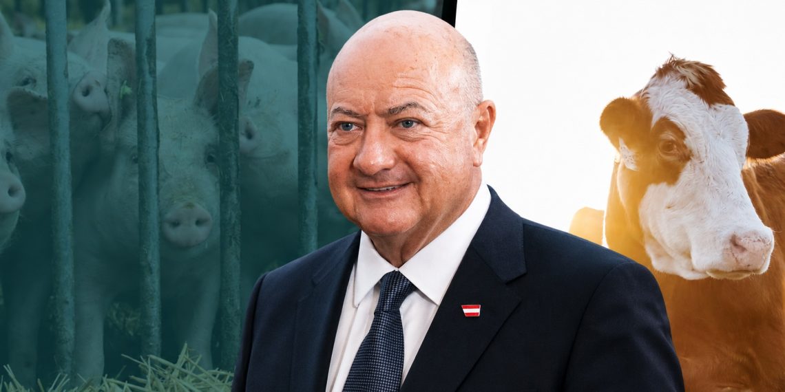 ÖVP und Tierschutz in Österreich: ÖVP-Bundeskanzler vor Schweinen in einem Stall mit Vollspaltenboden und einem Rind – Symbolbild zu Tierfabriken, Tiertransporten und der Tierschutzpolitik der ÖVP.