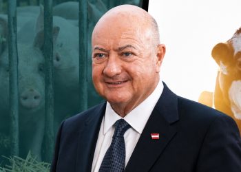 ÖVP und Tierschutz in Österreich: ÖVP-Bundeskanzler vor Schweinen in einem Stall mit Vollspaltenboden und einem Rind – Symbolbild zu Tierfabriken, Tiertransporten und der Tierschutzpolitik der ÖVP.