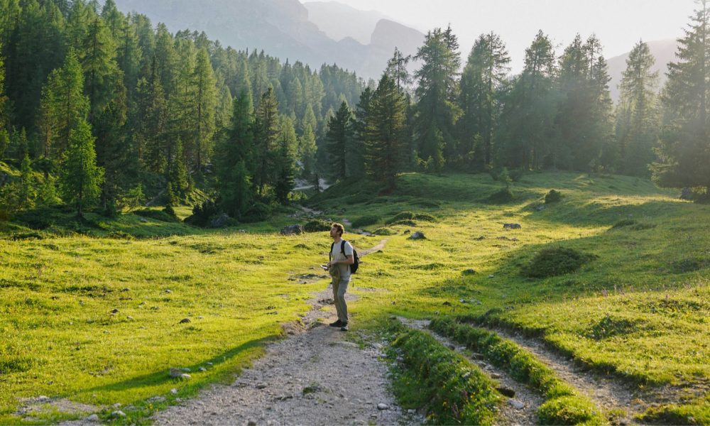 Foto: Unsplash/Giulia Squillace