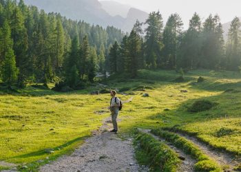 Foto: Unsplash/Giulia Squillace