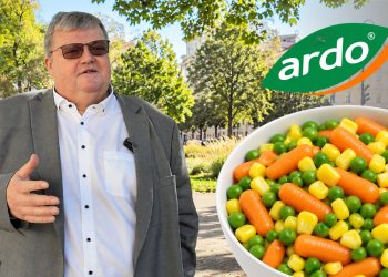 Interview mit dem Betriebsrat von Ardo. (Foto: Kontrast; Logo; KI-Montage)